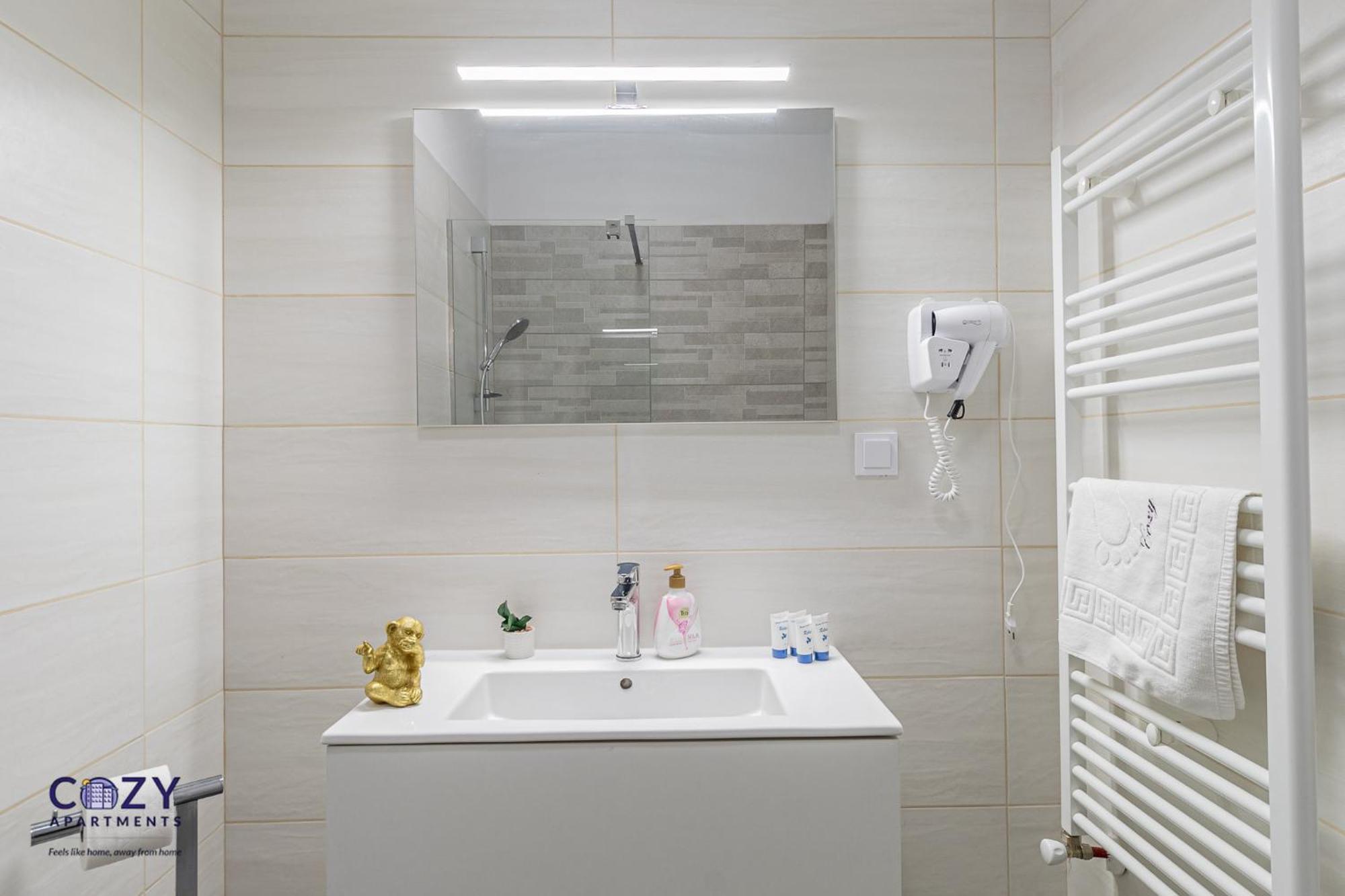Cozy Collection Studios And Flats - Coresi Mall Brašov Exteriér fotografie